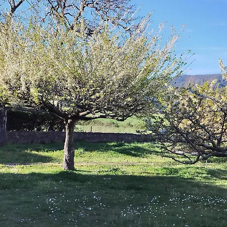 Casa de vacances Arep Alquiler Integro 6 Les Planes, Aire Acondicionat *